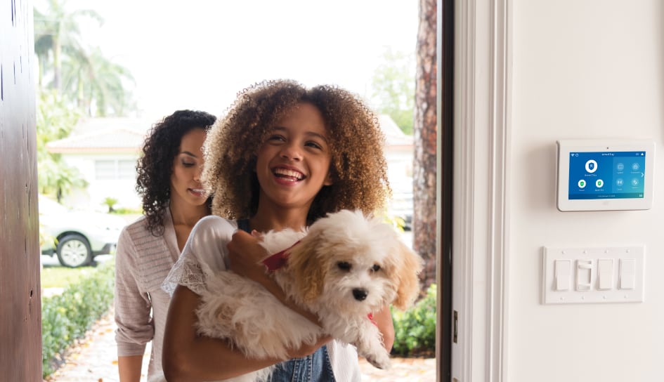 ADT Security System in a Charlottesville home